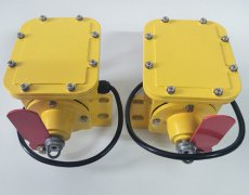 CHK-100皮帶撕裂保護(hù)開(kāi)關(guān)BZL-220B防爆縱向撕裂保護(hù)裝置